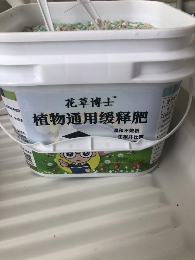 樓頂露臺適合種什么菜（100頂樓露臺一半種花一半種菜）(44)