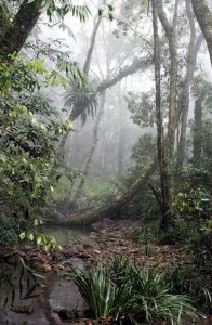 ?成都出發西雙版納自駕游旅游攻略