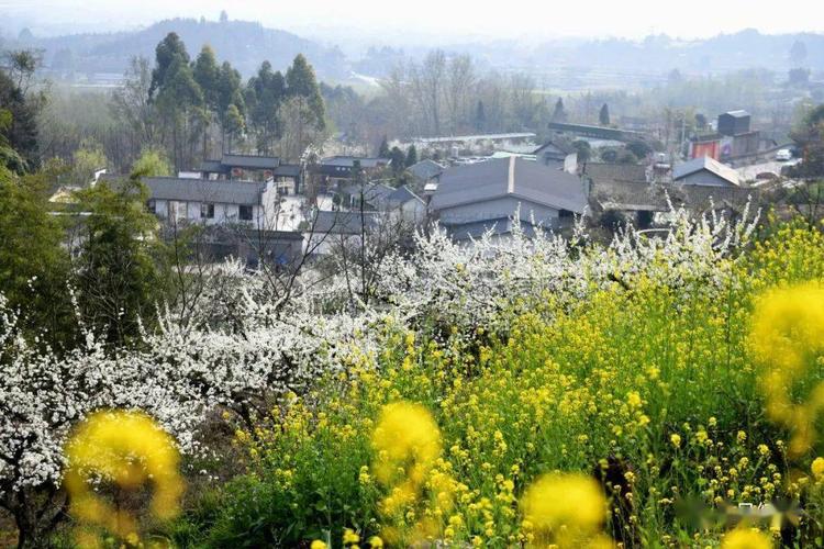 3、德陽植物園