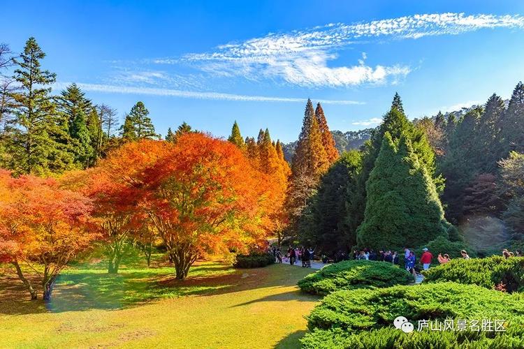 5、廬山植物園