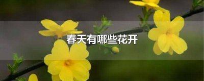 ?春天有哪些花開放分別是什么顏色 春天有哪些花開 名字