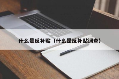 ?什么是反補貼（什么是反補貼調查）