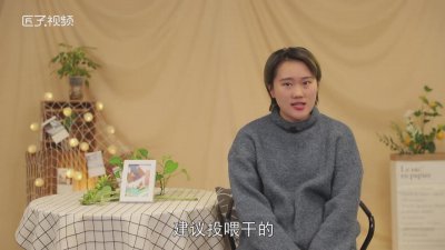 ?三線倉鼠能吃什么水果? 三線倉鼠喜歡吃什么水果