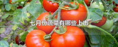 ?六月份上市蔬菜 7月什么蔬菜上市