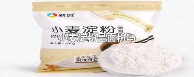 ?小麥淀粉是不是面粉? 小麥粉是不是面粉或者淀粉