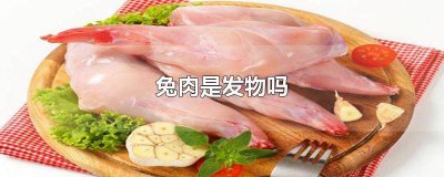 ?兔子肉會發嗎 兔肉屬于發物的食物嗎