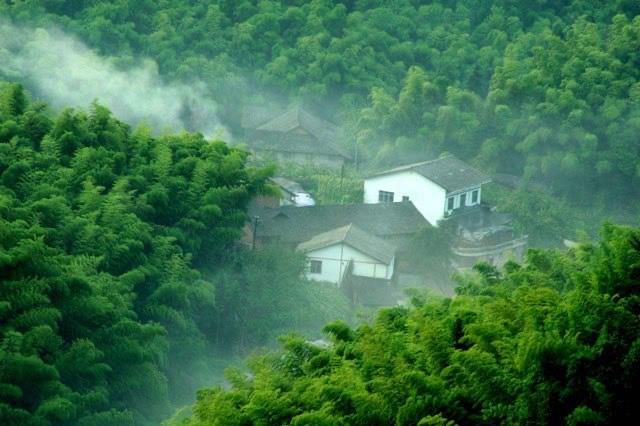 旅游蜀南竹海在哪里（最美森林蜀南竹海的景點情況介紹）  3