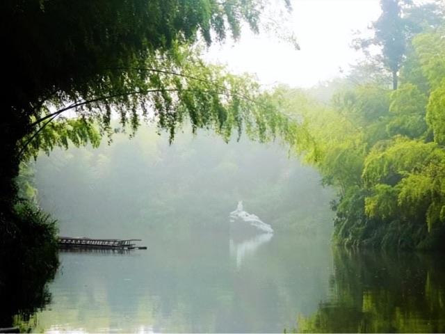 旅游蜀南竹海在哪里（最美森林蜀南竹海的景點情況介紹）  8