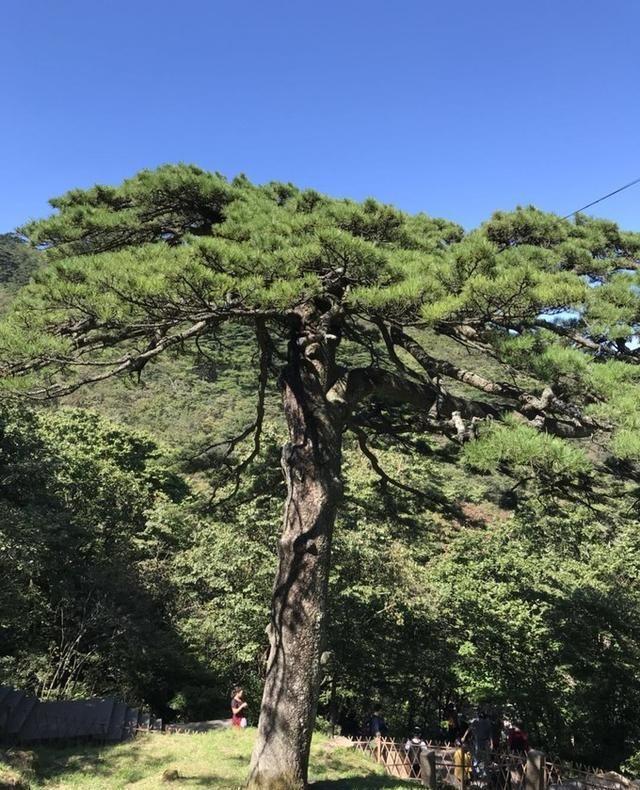 兩天自由行游黃山，附經典路線圖~